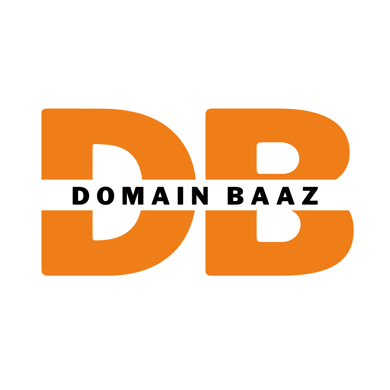 Domain Baaz - A Domain Name Investor and Broker